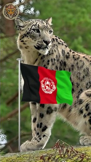 What Is the National Animal of Afghanistan ?