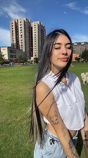 Entendiendo TikTok para Niños