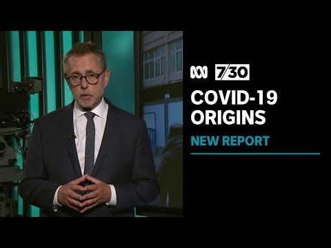 Is the mystery of the origin of COVID-19 closer to being solved? | 7.30