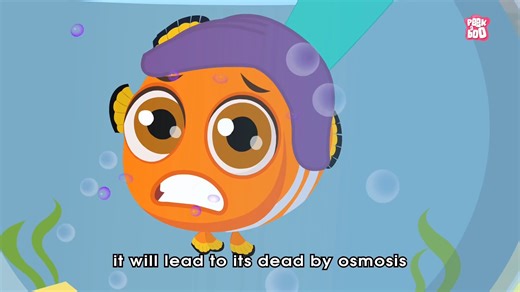 116 What Is Osmosis The Dr. Binocs Show Best Learning Videos For Kids Peekabo