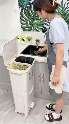 Exploring Useful Gadgets in the US and UK