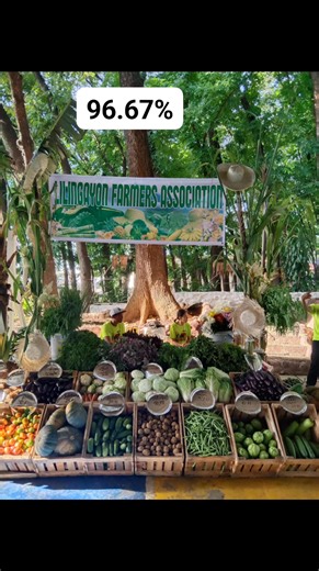 We did it, again and again Congratulations Purok UNO Lilingayon Lilingayon Agriculture Lilingayon Farmers Association Inc. Farmers month celebration City level | Catherine Mabini Acham Libante