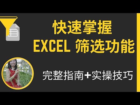 快速掌握Excel筛选功能，完整指南+实操技巧 #exceltips #exceltutorial #excelformula #excel #excelfunction #excelfilter