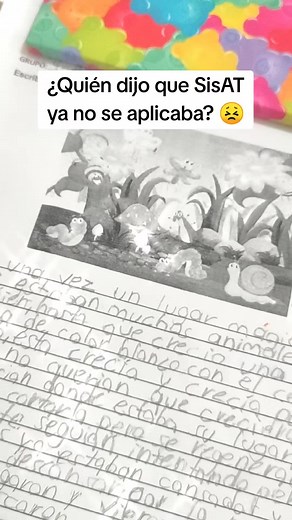 Aplicación de SisAT: La Importancia de la Lectura