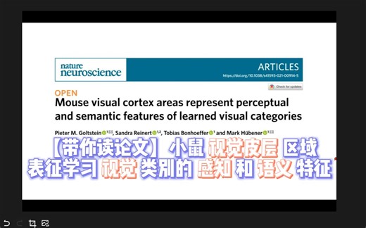 Mouse visual cortex areas represent perceptual and semantic features of learned