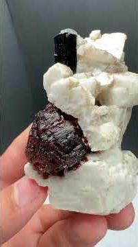 Spessartine Garnet with Feldspar and Albite - Pakistan | Fine Art Minerals | Garnet | Specimen |