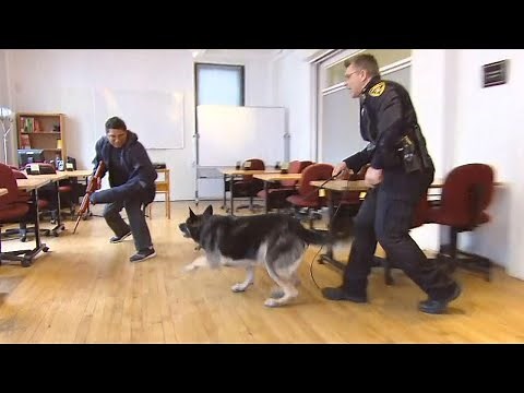 How Some Schools Plan to Protect Students in the Event of a Shooting