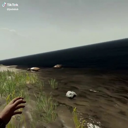 Funny Turtle Mishap on my YouTube Channel!