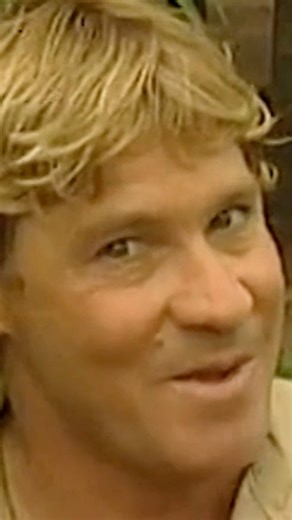 Pluto TV | I love seeing dancing Aussies on my screen. 🐊 Stream Wiggly Safari free On Demand on Pluto TV! | Instagram