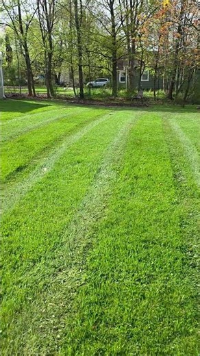 1st Cut For the Season!!