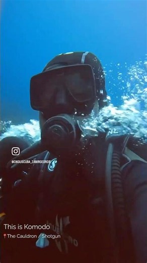 Dive at The Shotgun, Komodo #scubadiving #current #strong #dive #komodo #dive #cauldron #thrill