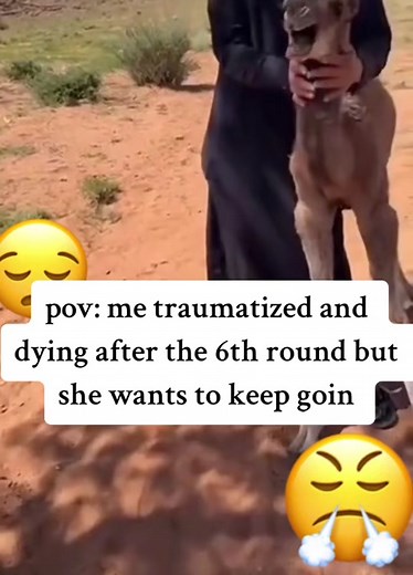 Caring for a Young Camel in the Desert