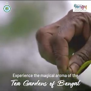 483K views · 400 reactions | Experience the allure of Darjeeling's...