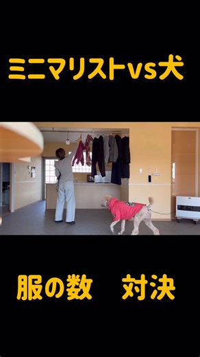 すたんぷーのばっちゃん on Instagram: "ミニマリストvs犬 服の数勝負 まさの…"