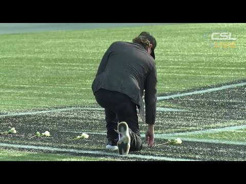 Kyle Busch's brother, Kurt, lays down flowers on infield