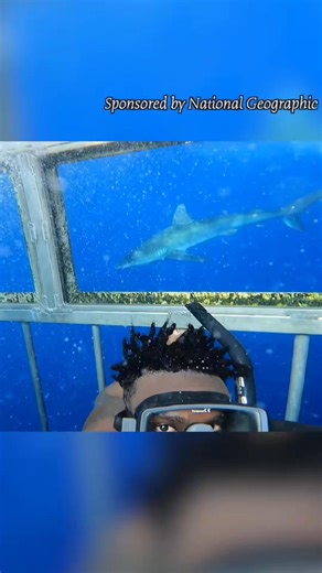 Sponsored by National Geographic. Sharks just need a better pr team. ... | Casual Geographic