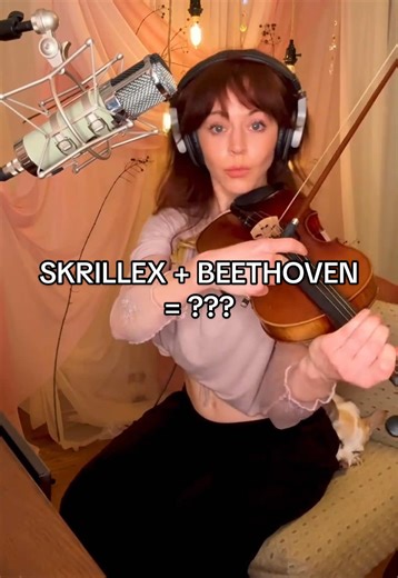 Skrillex Bangarang Remix by Beethoven?