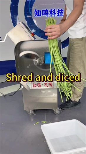Efficient Shredder Machine for Vegetable Dicing