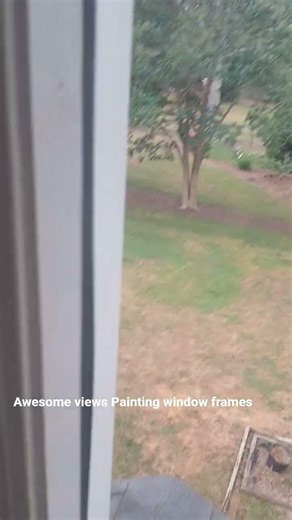 awesome view Painting window frames #painting #views #trees #windows #housepainting