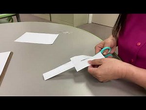 Grade 3 Science- Twirly Birds