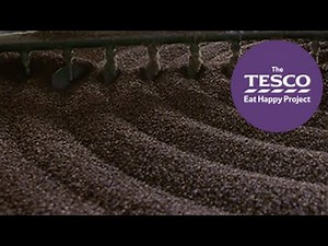 Breakfast Cereal: how are wheat biscuits made?