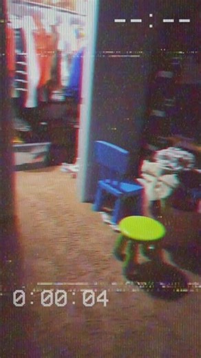 vhs test #analoghorror