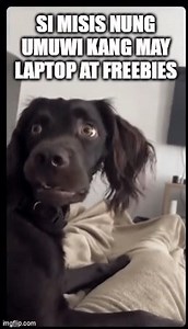 31K views · 42 reactions | Ayos pala to? Nagka laptop bigla? 廊 헟헜헡헞: https://www.gigahertz.com.ph/collections/laptops-and-notebooks/products/acer-aspire-5-a514-55-36nk-laptop?variant=43754960355567 | GigaHertz | Facebook