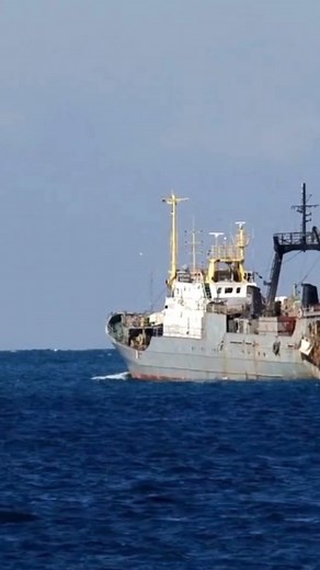 Fishing Vessels: Trawlers and Beyond - What you need to know? #fishingvessels #trawlers #seafood #catchingfish #fishingnet #oceanfishing #ship #share