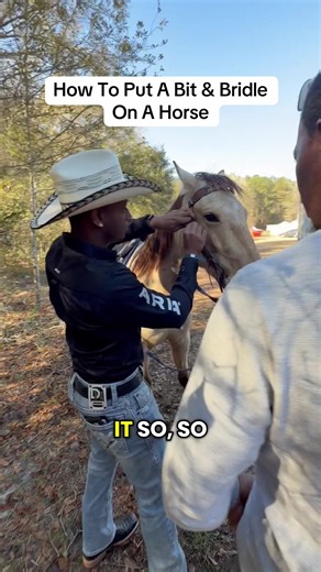 How To Put A Bit & Bridle On A Horse