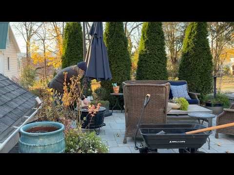 Winter containers with creative squirrel protection 🔥🪵 (Winter Fire Pit edition}