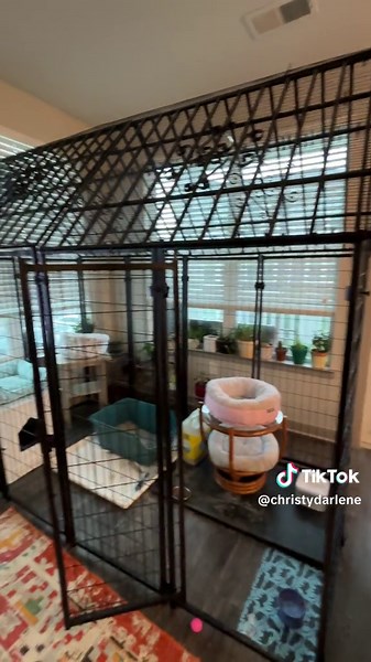 christydarlene on TikTok