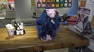 3.5K views · 63 reactions | Meet Mr. Dobbs, the co-host on one of the...