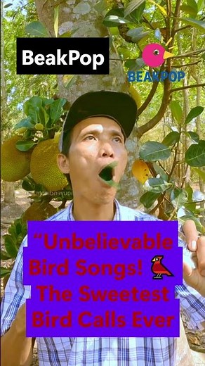 “Unbelievable Bird Songs! 🐦 The Sweetest Bird Chirping & Calls Ever