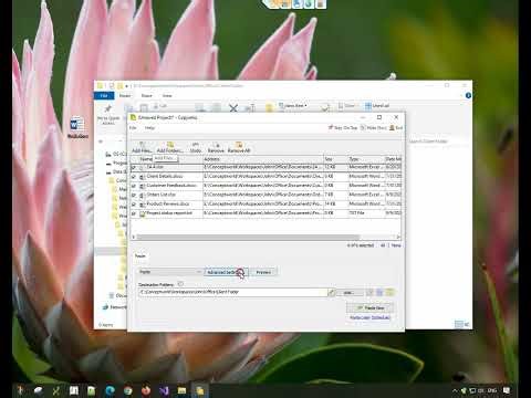 Windows: Organize files in a folder structure based on file attributes using Copywhiz