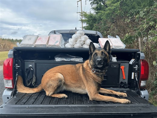 Police seize enough fentanyl ‘to kill everyone in Portland twice,’ arrest 46 in multi-agency trafficking crackdown