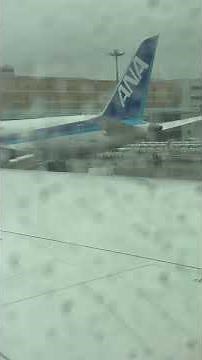 エンジンスタート ANA(B787-8) #ana #飛行機