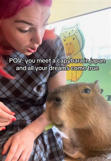 Memorable Capybara Encounter in Tokyo