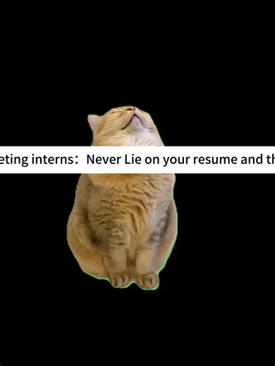 Internship Tips: Honesty is Key