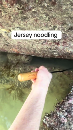 Jersey Noodling: A Texas Fishing Adventure