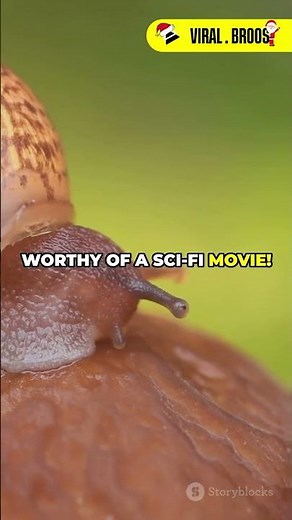 Zombie Snails: Nature's Creepiest Parasite!