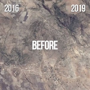 11K views · 299 reactions | The Germany-based Ecosia is a search engine that plants trees from its profits. | CNET | Facebook