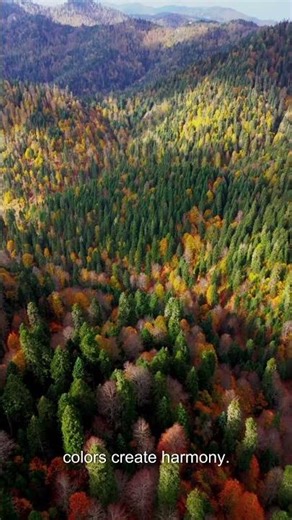 What Colors Make Your Home Feel Cozy?