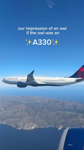 if your owl sounds like this, it may be an A330 ✈️ #delta | delta airline
