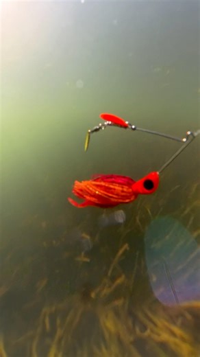 These Limited Edition Fire Craw spinnerbaits won’t last much longer.