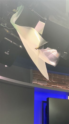 The peace & quiet in the studio… and the bug. #lights #bugs