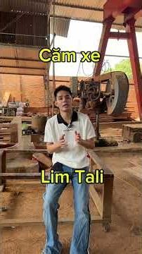 Xếp hạng các loại gỗ nhập khẩu theo độ Bền #sofago #gonguyentam #goquy1000nam #xuhuong