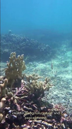 “🌴 Top 3 Safest Caribbean Countries You Can Travel To Right Now!”