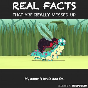 Somewhere, Ms. Frizzle just felt a cold chill down her spine. | CollegeHumor