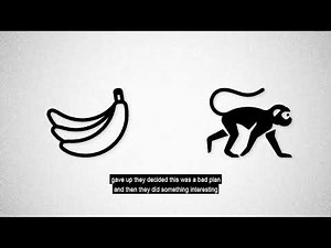 The Monkey Experiment
