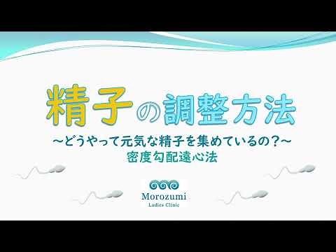 精子の調整方法